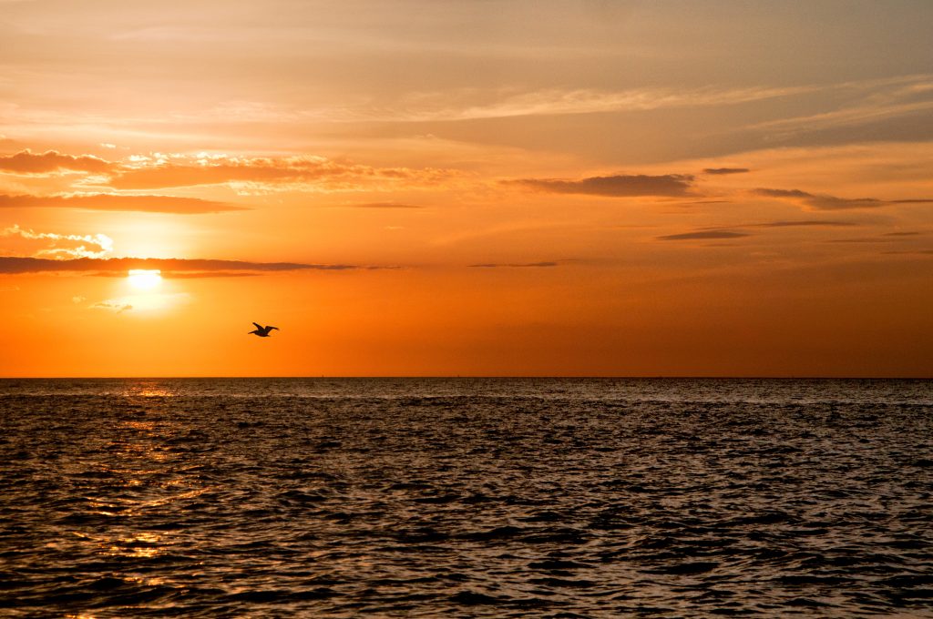 Fotografía artística atardecer La Guajira Colombia, sol naranja sobre mar Caribe, silueta ave volando
