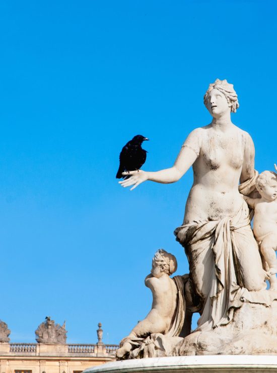 Fotografía artística cuervo negro posado mano estatua clásica mármol, cielo azul intenso, España, contraste