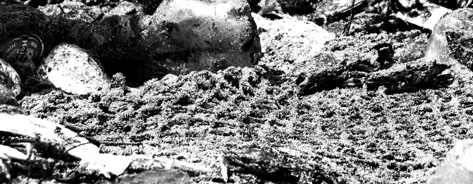 11.-al-final-solo-la-basura